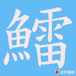 《鱩》的笔顺动画写字动画演示
