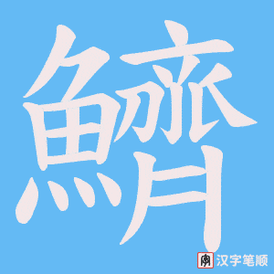《鱭》的笔顺动画写字动画演示