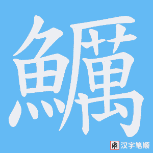 《鱱》的笔顺动画写字动画演示