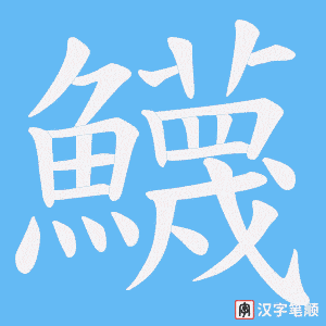 《鱴》的笔顺动画写字动画演示