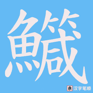 《鱵》的笔顺动画写字动画演示