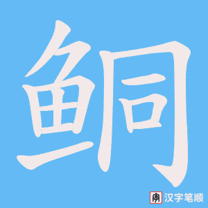 《鲖》的笔顺动画写字动画演示