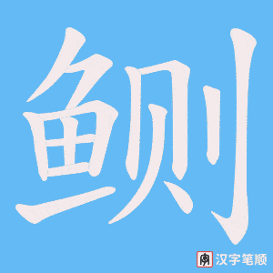 《鲗》的笔顺动画写字动画演示