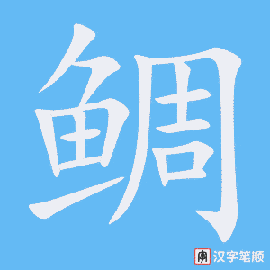 《鲷》的笔顺动画写字动画演示