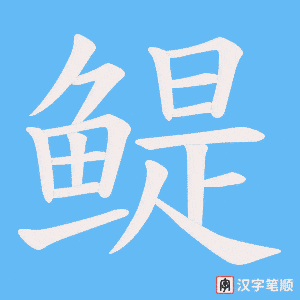 《鳀》的笔顺动画写字动画演示