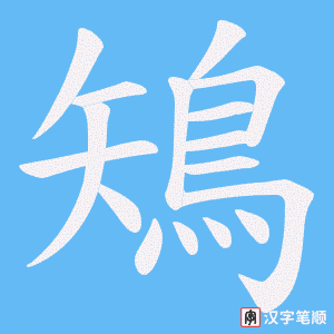 《鴙》的笔顺动画写字动画演示