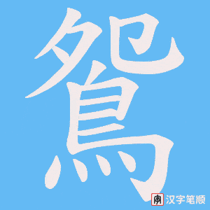 《鴛》的笔顺动画写字动画演示
