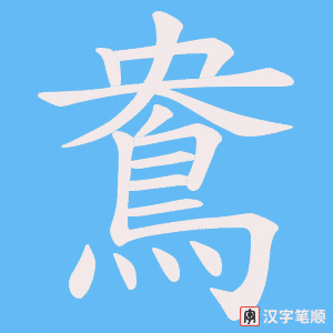 《鴦》的笔顺动画写字动画演示