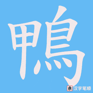 《鴨》的笔顺动画写字动画演示