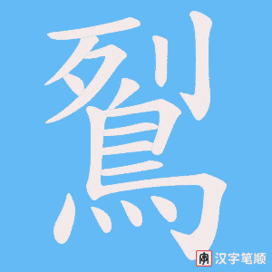 《鴷》的笔顺动画写字动画演示