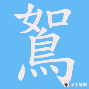 《鴽》的笔顺动画写字动画演示