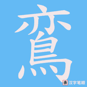 《鵉》的笔顺动画写字动画演示