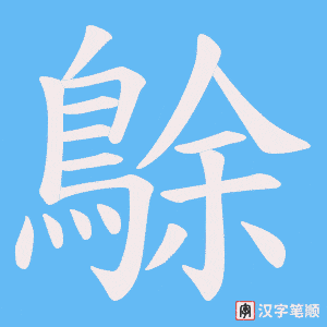 《鵌》的笔顺动画写字动画演示