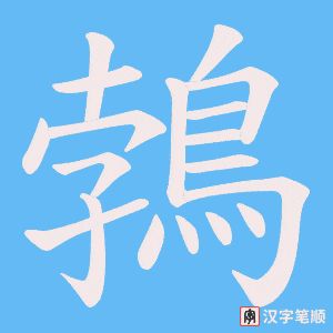 《鵓》的笔顺动画写字动画演示