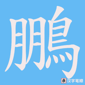 《鵬》的笔顺动画写字动画演示