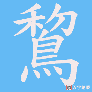 《鵹》的笔顺动画写字动画演示