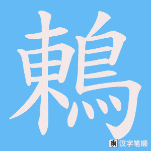 《鶇》的笔顺动画写字动画演示