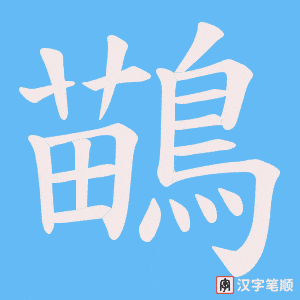 《鶓》的笔顺动画写字动画演示