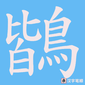 《鶛》的笔顺动画写字动画演示