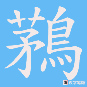 《鶜》的笔顺动画写字动画演示