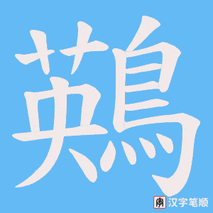 《鶧》的笔顺动画写字动画演示