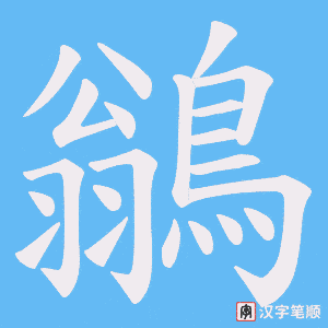 《鶲》的笔顺动画写字动画演示