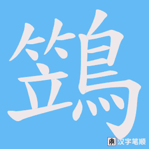 《鷑》的笔顺动画写字动画演示