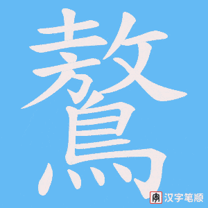 《鷔》的笔顺动画写字动画演示