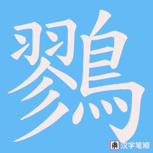 《鷚》的笔顺动画写字动画演示