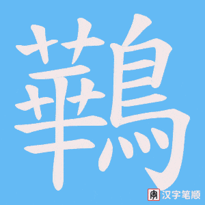 《鷨》的笔顺动画写字动画演示