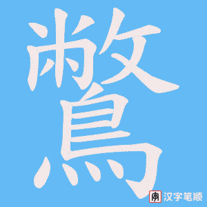 《鷩》的笔顺动画写字动画演示