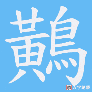 《鷬》的笔顺动画写字动画演示