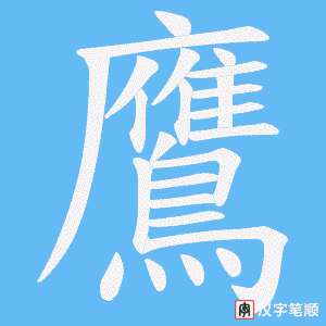 《鷹》的笔顺动画写字动画演示