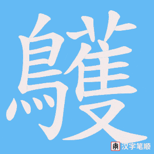 《鸌》的笔顺动画写字动画演示