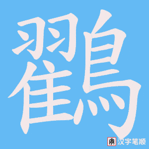 《鸐》的笔顺动画写字动画演示