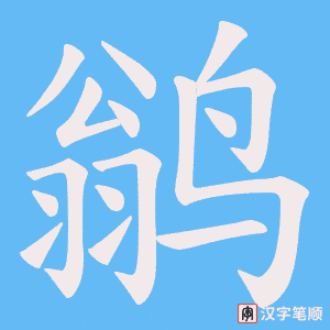 《鹟》的笔顺动画写字动画演示