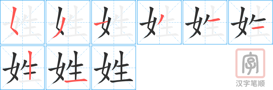 《姓》的笔顺分步演示（一笔一画写字）