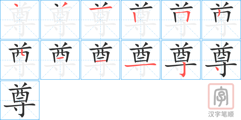 《尊》的笔顺分步演示（一笔一画写字）