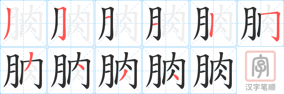 《朒》的笔顺分步演示（一笔一画写字）