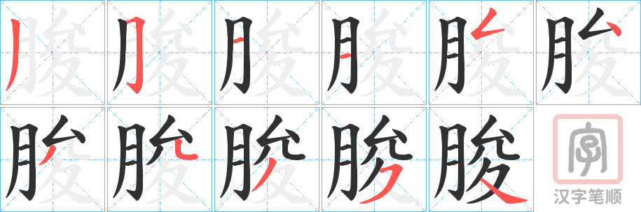 《朘》的笔顺分步演示（一笔一画写字）