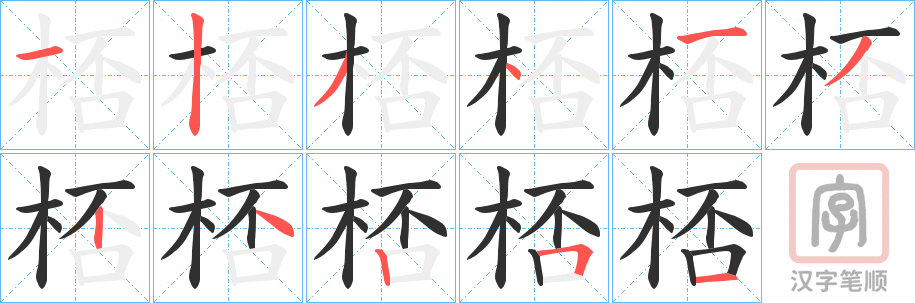 《桮》的笔顺分步演示（一笔一画写字）