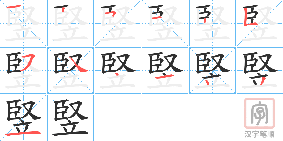 《竪》的笔顺分步演示（一笔一画写字）