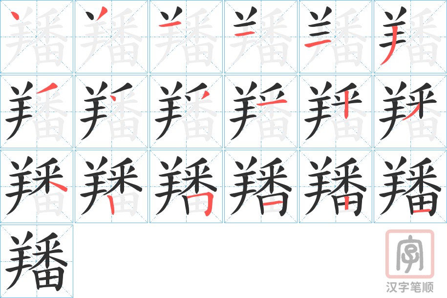 《羳》的笔顺分步演示（一笔一画写字）