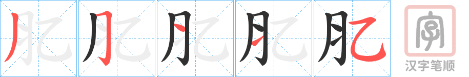 《肊》的笔顺分步演示（一笔一画写字）