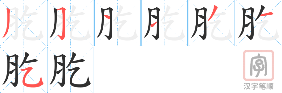 《肐》的笔顺分步演示（一笔一画写字）