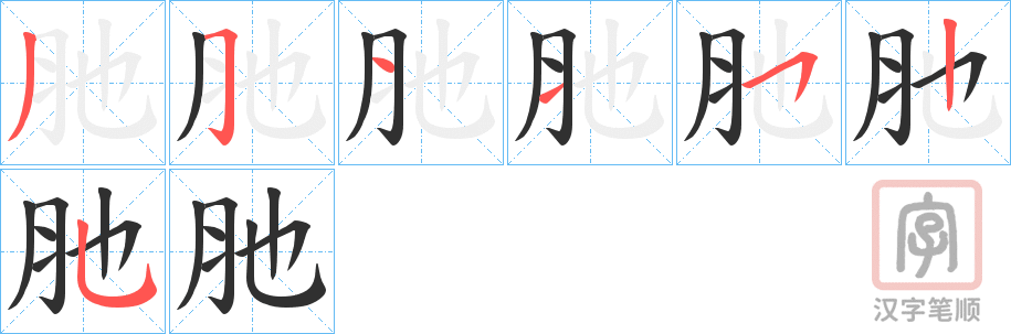 《肔》的笔顺分步演示（一笔一画写字）