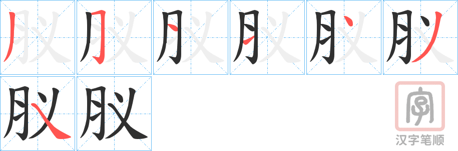 《肞》的笔顺分步演示（一笔一画写字）