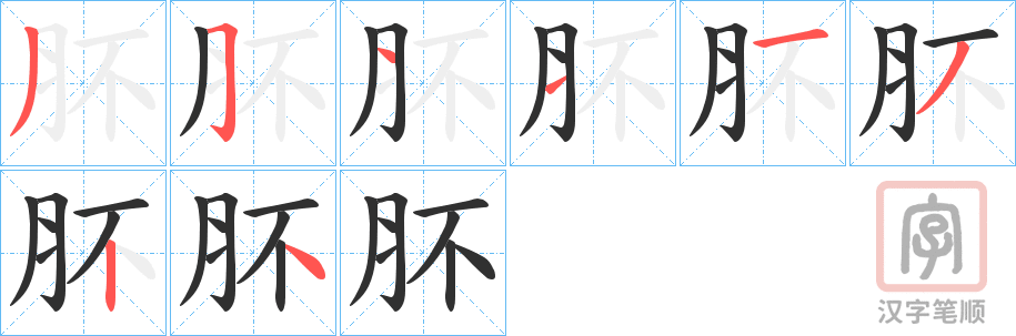 《肧》的笔顺分步演示（一笔一画写字）