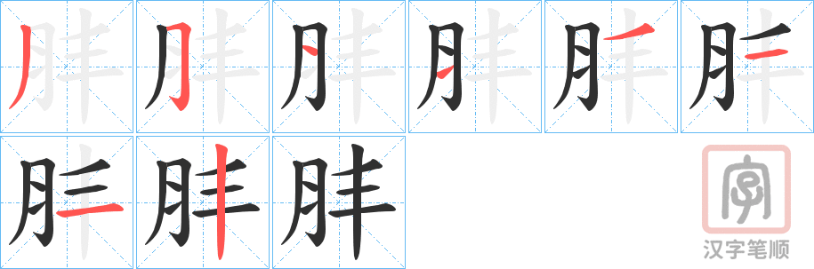 《肨》的笔顺分步演示（一笔一画写字）