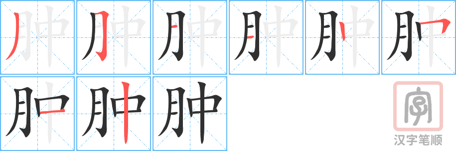 《肿》的笔顺分步演示（一笔一画写字）